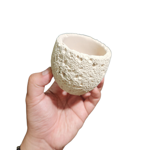 Coral planter series