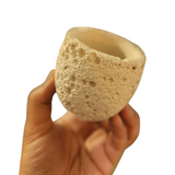 Coral planter series