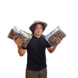 LB Soil Mix